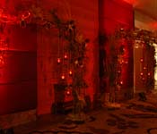 wedding planner in delhi ncr